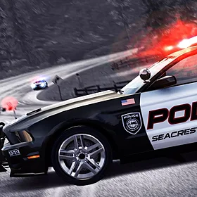 play Police hry